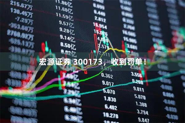 宏源证券 300173，收到罚单！