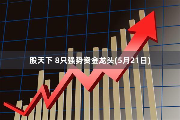 股天下 8只强势资金龙头(5月21日)