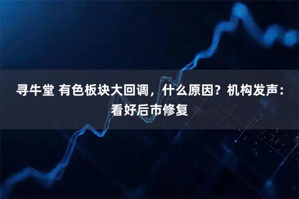 寻牛堂 有色板块大回调，什么原因？机构发声：看好后市修复
