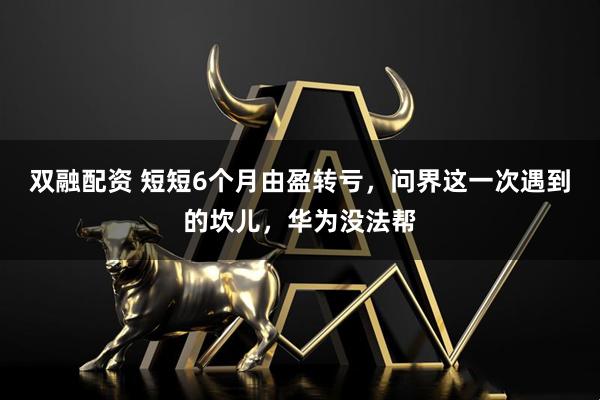 双融配资 短短6个月由盈转亏，问界这一次遇到的坎儿，华为没法帮