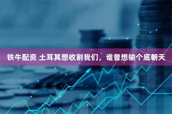 铁牛配资 土耳其想收割我们,谁曾想输个底朝天